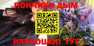 хмурый Сланцы