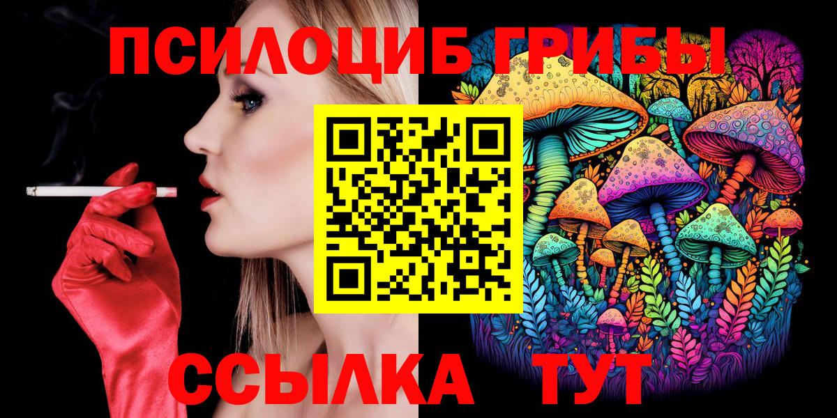 где найти наркотики  Вход с VPN  Тара  Псилоцибиновые грибы Magic Shrooms 