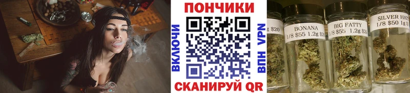 как найти Тара МАРИХУАНА семена